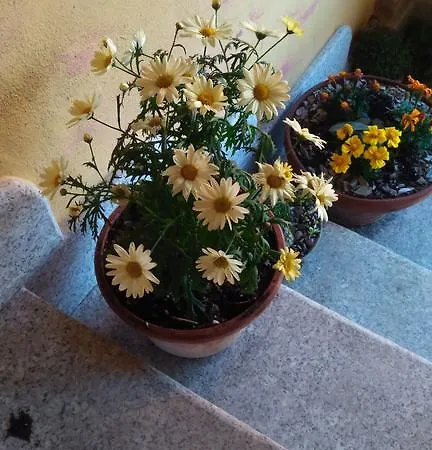 Il Veliero Tanca Piras Hébergement de vacances Nebida